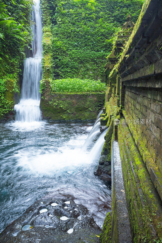 在印度尼西亚巴厘岛坦帕市的Pura Tirta Empul寺庙，在神圣的泉水绿色的自然条件建筑中祈福的寺庙瀑布